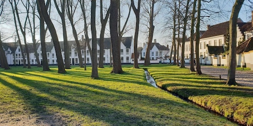 Bruges: Tur Jalan Kaki Pribadi 2,5 Jam