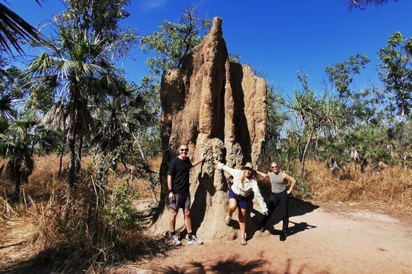 majestic Cathedral Termite mounds