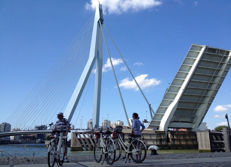 Picture 6 for Activity Rotterdam: City Highlights Guided Bike Tour