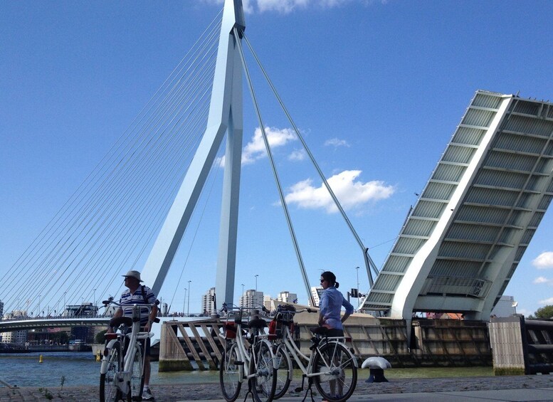 Picture 6 for Activity Rotterdam: City Highlights Guided Bike Tour