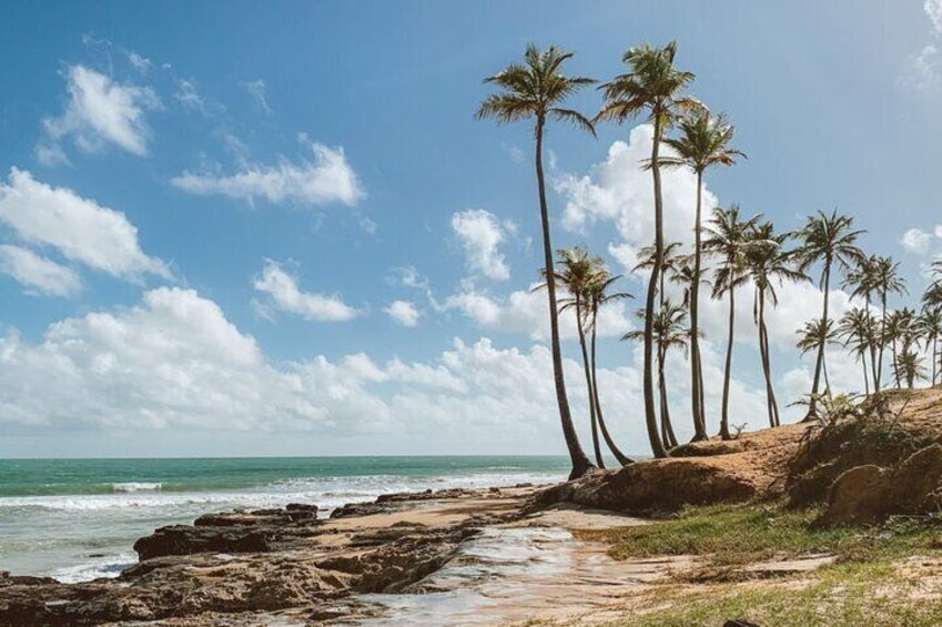 Full Day Tour to Praia da Lagoinha from Fortaleza