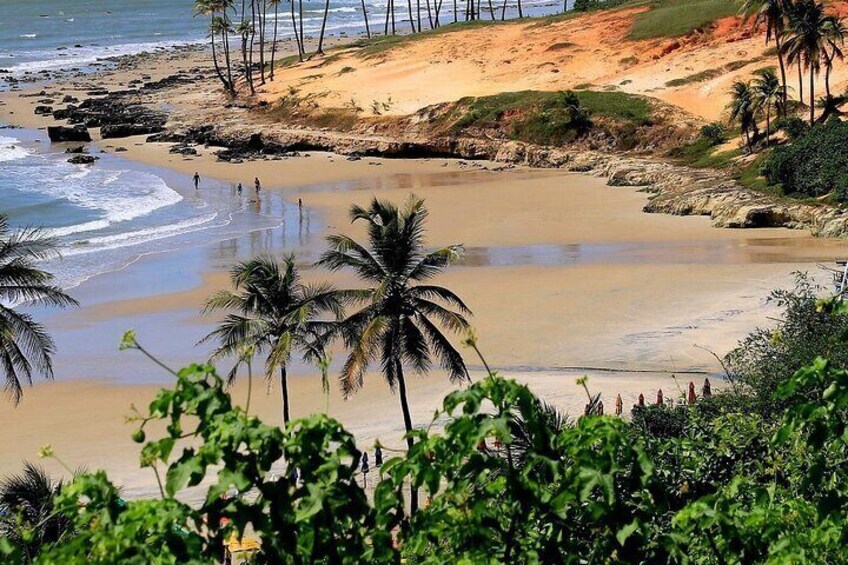 Full Day Tour to Praia da Lagoinha from Fortaleza