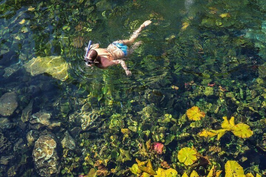 Cenote Cristalino Tour with Underwater Photo Session