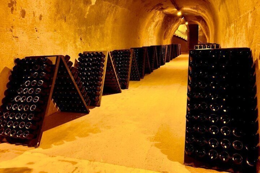 Private Full Day Tour to Champagne from Paris, Visit of 2 Champagne Producers