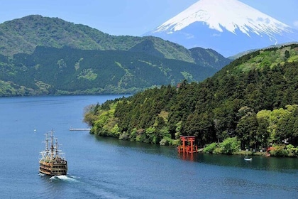 Hakone Full Day Tour with Guide and Vehicle