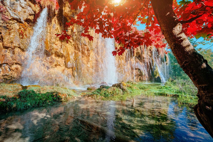 Picture 3 for Activity Plitvice Lakes National Park: Day Trip from Omiš