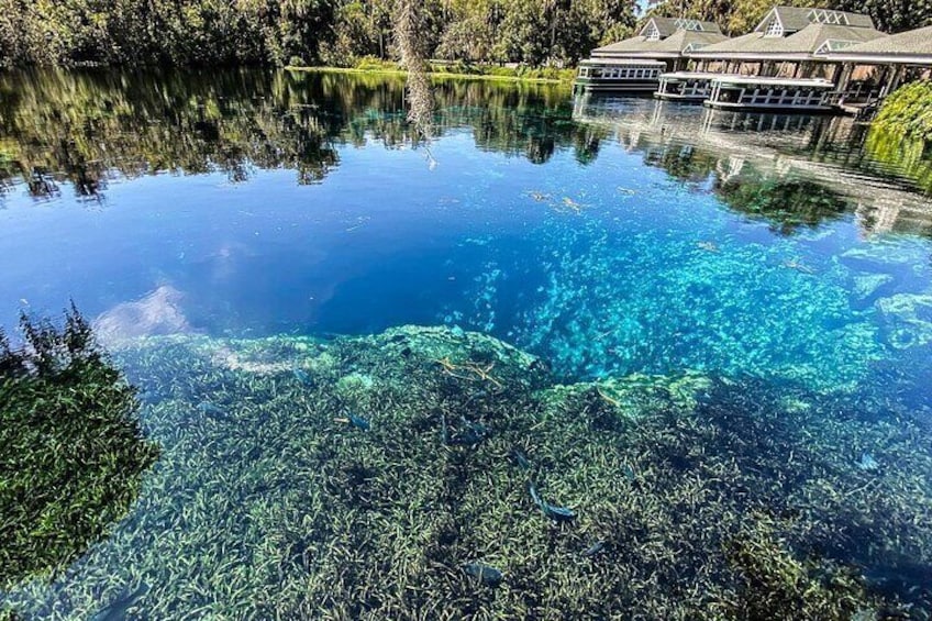 Glass Bottom Kayak Guided Tour in Silver springs