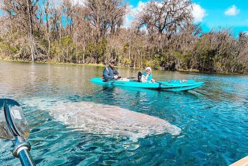 Glass Bottom Kayak Guided Tour in Silver springs