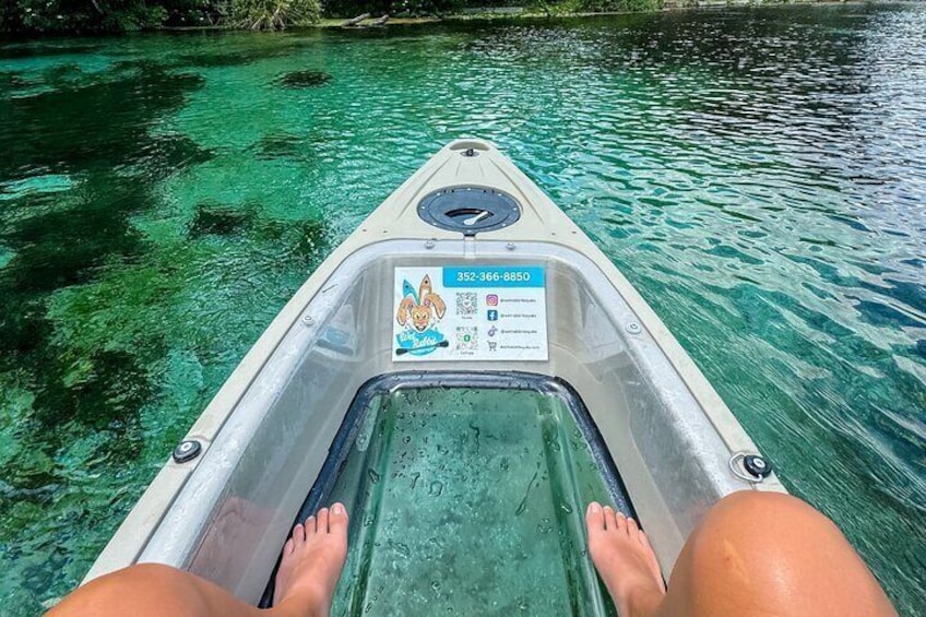 Silver Springs 2hr Glass Bottom Kayak Tour!