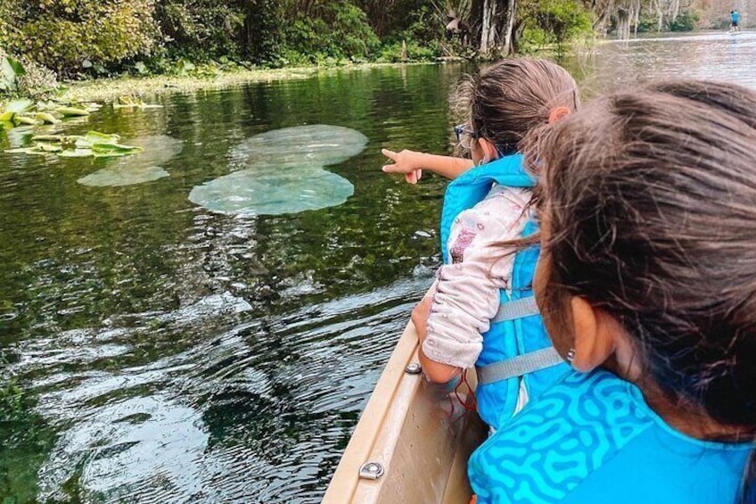 Glass Bottom Kayak Guided Tour in Silver springs