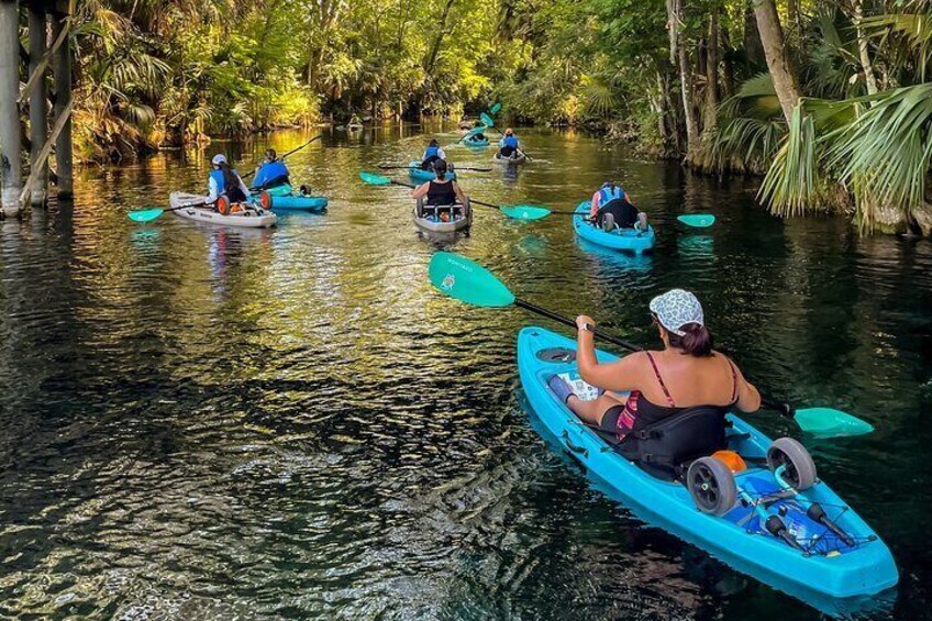 Silver Springs 2hr Glass Bottom Kayak Tour!