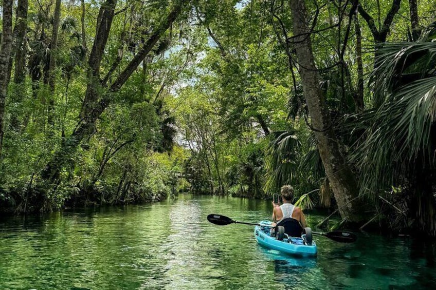 Silver Springs 2hr Glass Bottom Kayak Tour!