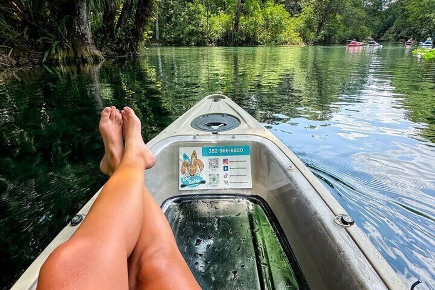 Silver Springs 2hr Glass Bottom Kayak Tour!