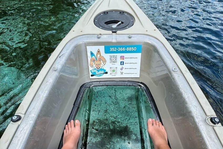 Silver Springs 2hr Glass Bottom Kayak Tour!