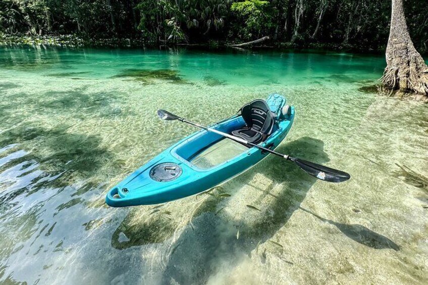 Silver Springs 2hr Glass Bottom Kayak Tour!