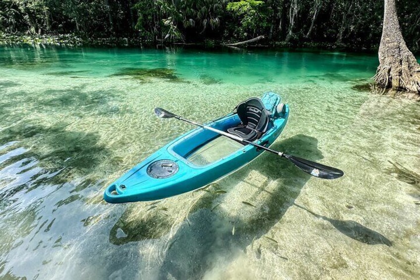 Glass Bottom Kayak - Silver Springs & Wildlife Tour