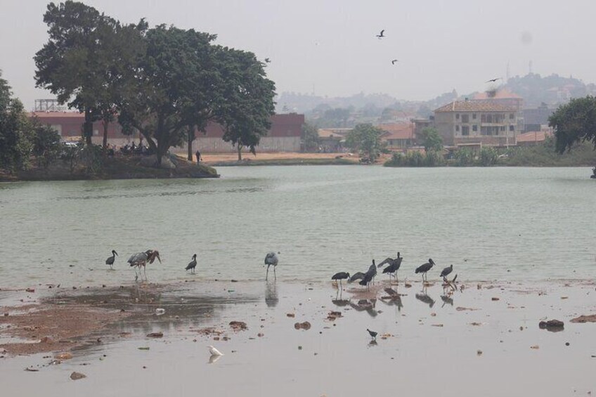 Kampala Cultural Tour - Kabaka's Lake 