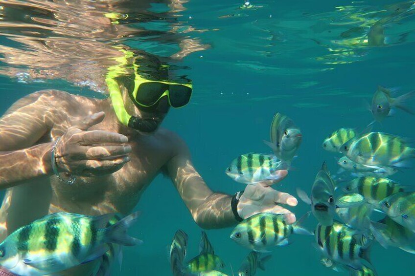 Phuket Premium 3 Khai Islands Snorkeling and Relaxing Tour