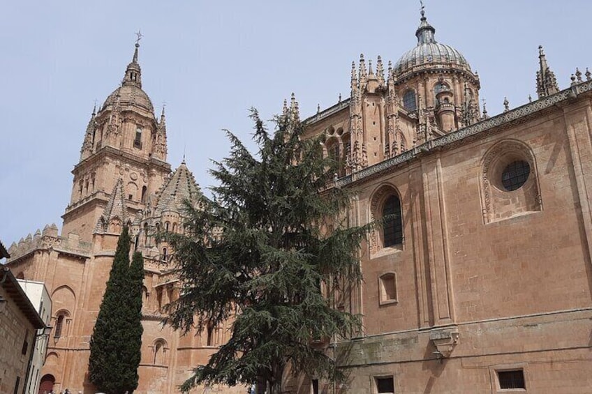 Special Private Tour for Families with Children in Salamanca