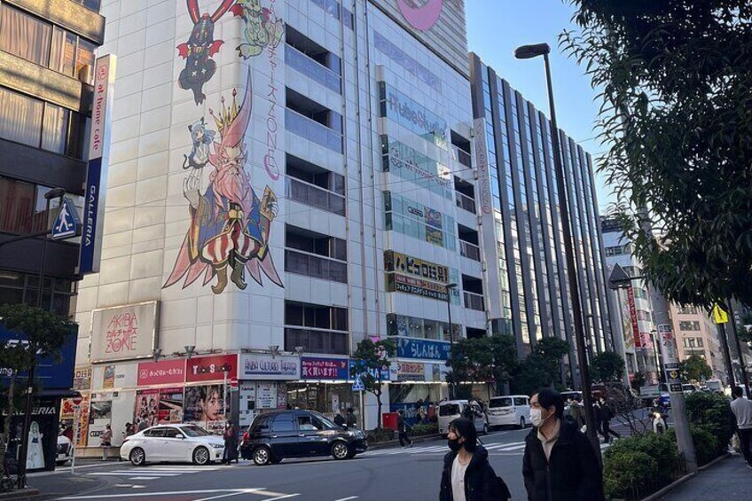 Private Half-Day Tour Colorful and Busy Street in Central Tokyo