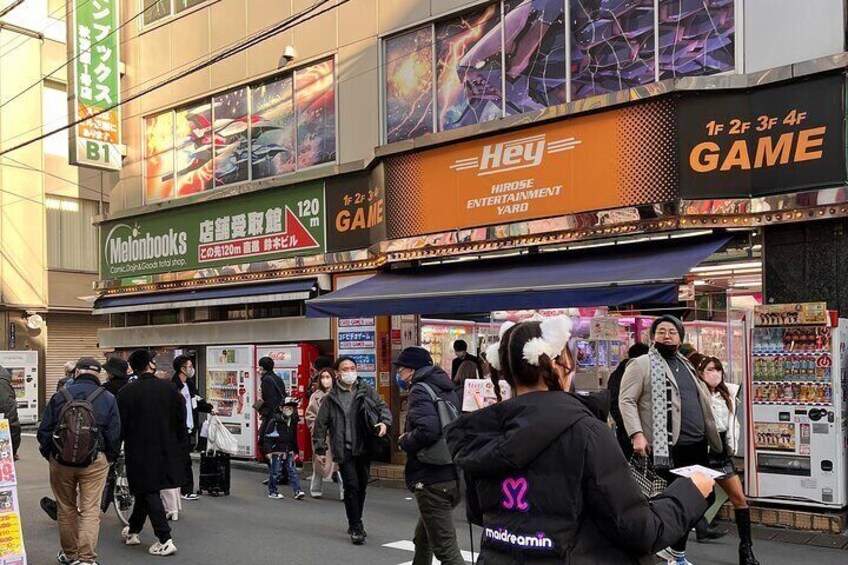 Private Half-Day Tour Colorful and Busy Street in Central Tokyo