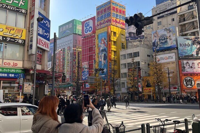 Private Half-Day Tour Colorful and Busy Street in Central Tokyo