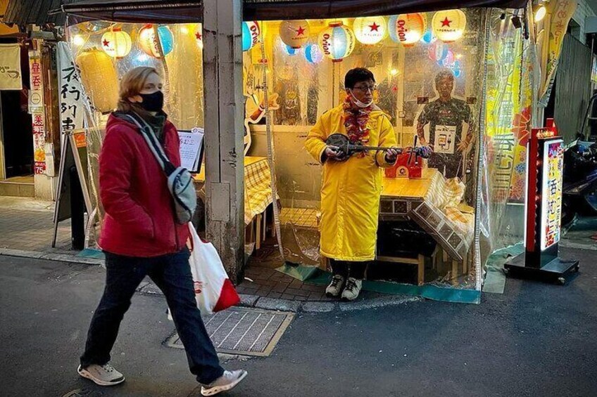 Private Half-Day Tour Colorful and Busy Street in Central Tokyo