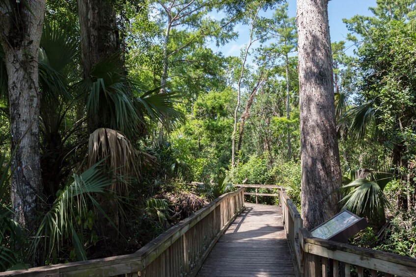 Big Cypress National Preserve Self Guided Driving Tour