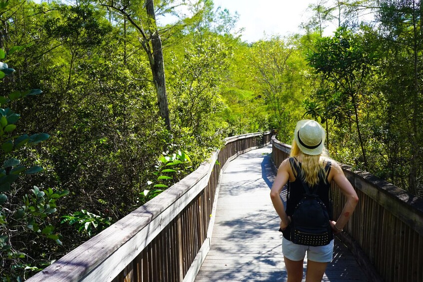 Big Cypress Florida GPS-Guided Driving Audio Tour