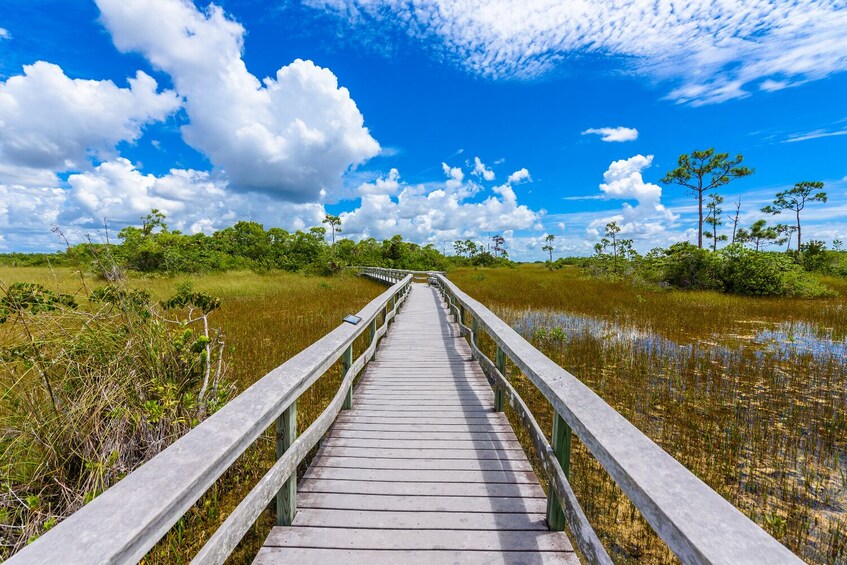 Everglades National Park: The Ultimate Self-Guided Tour