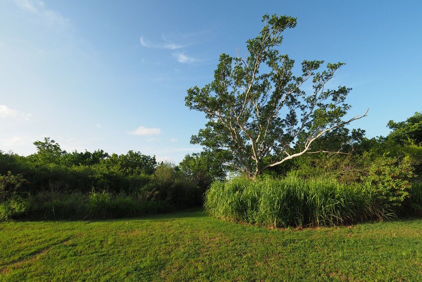 Everglades National Park: The Ultimate Self-Guided Tour