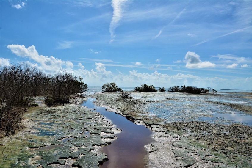 Everglades National Park: The Ultimate Self-Guided Tour