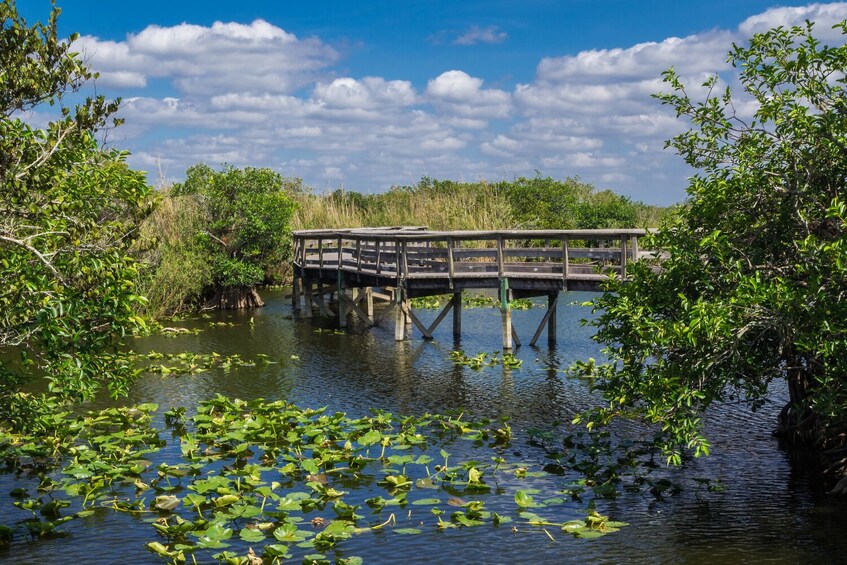 Florida's Must-See Sights: Self-Guided Driving Audio Tour Bundle