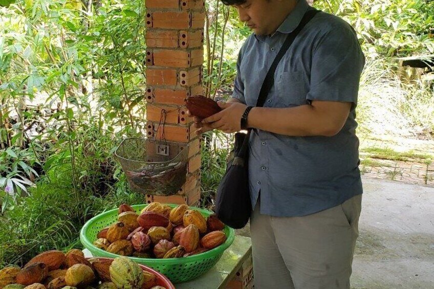 At Cacao Farm