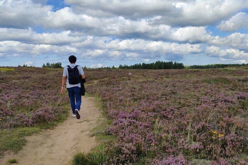 Half Day Hiking Tour in Beautiful Estonian Nature