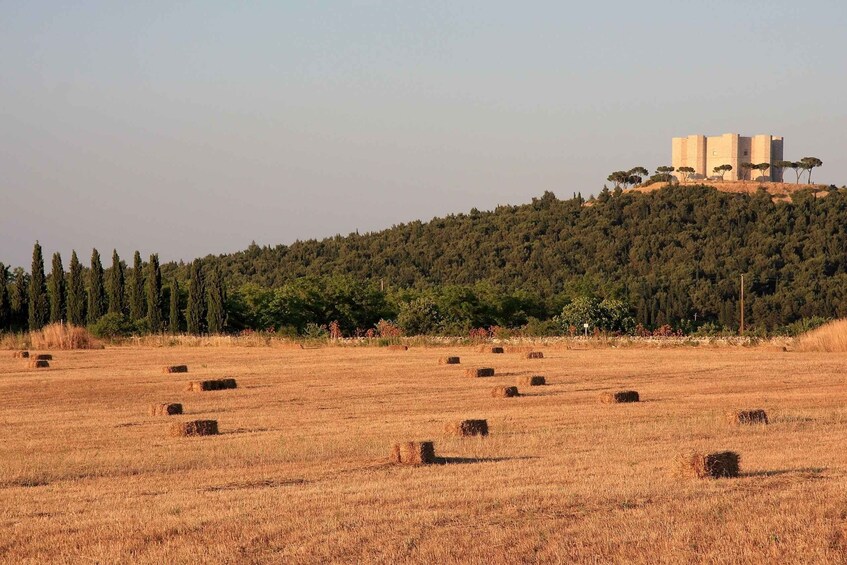 Picture 1 for Activity Castel del Monte Tour with transfer from Trani