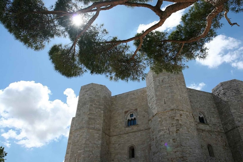 Picture 4 for Activity Castel del Monte Tour with transfer from Trani