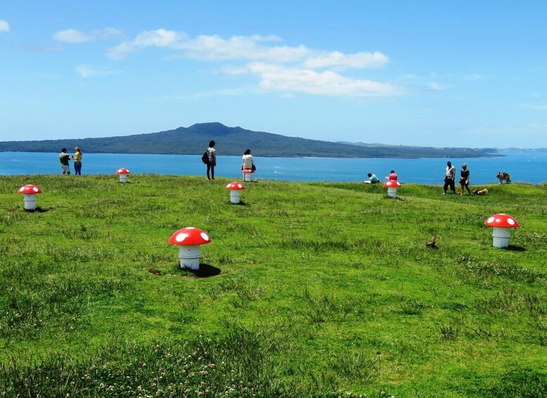 Picture 1 for Activity Auckland: Segway Tour to Mount Victoria