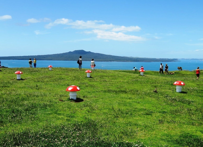 Picture 1 for Activity Auckland: Segway Tour to Mount Victoria