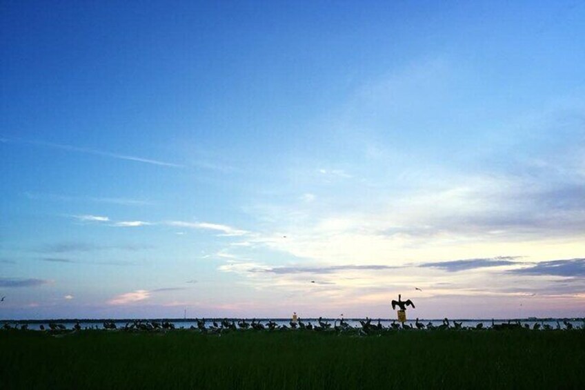 Guided Historical Bus and Boat Cruise Tour in Beaufort 