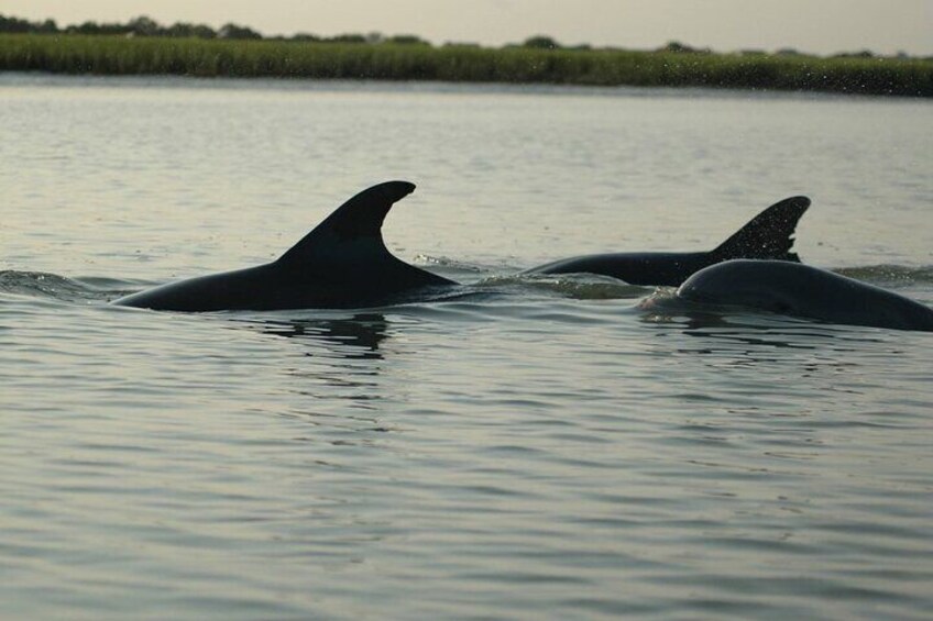 Guided Historical Bus and Boat Cruise Tour in Beaufort 