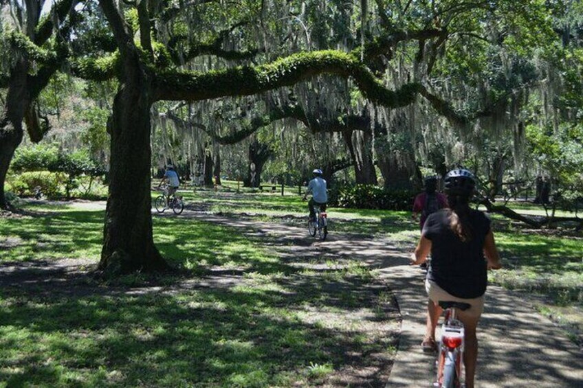 New Orleans City Park Creole Bike Tour