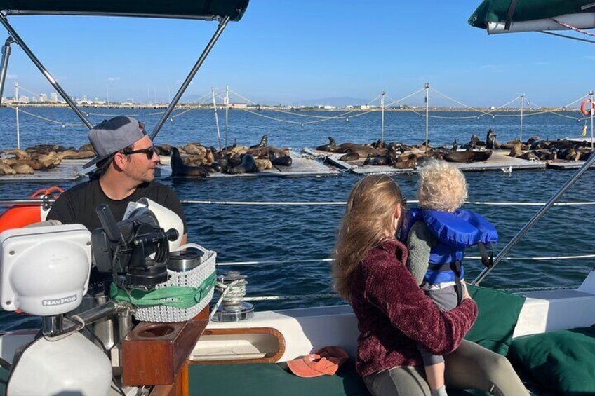 San Diego Sunset Sailing Excursion