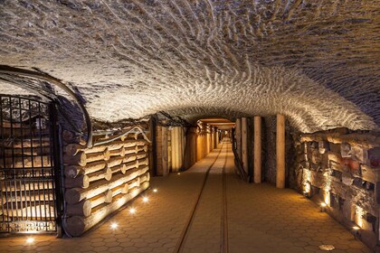 Wieliczka Salt Mine: Guided Tour Fast-Track Ticket