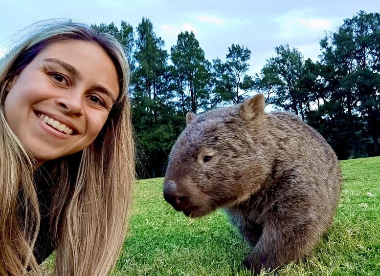 Picture 4 for Activity Sydney: Wild Wombats and Kangaroo Experience