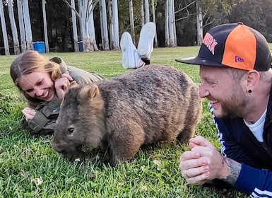 Sídney: experiencia salvaje con wombats y canguros