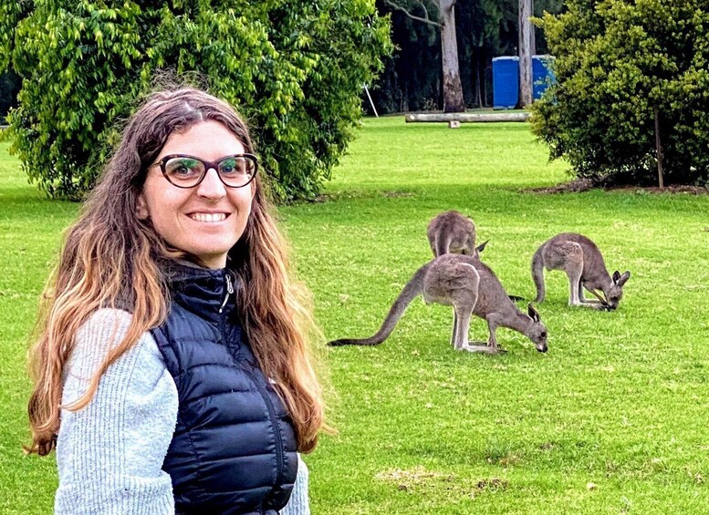 Picture 3 for Activity Sydney: Wild Wombats and Kangaroo Experience