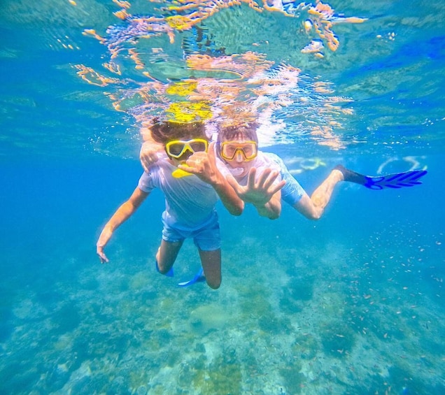 Picture 9 for Activity Wasini: Scenic Boat Trip with Breakfast, Lunch, & Snorkeling