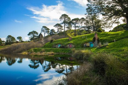 Desde Auckland: excursión de un día a las cuevas de Hobbiton y Waitomo con ...