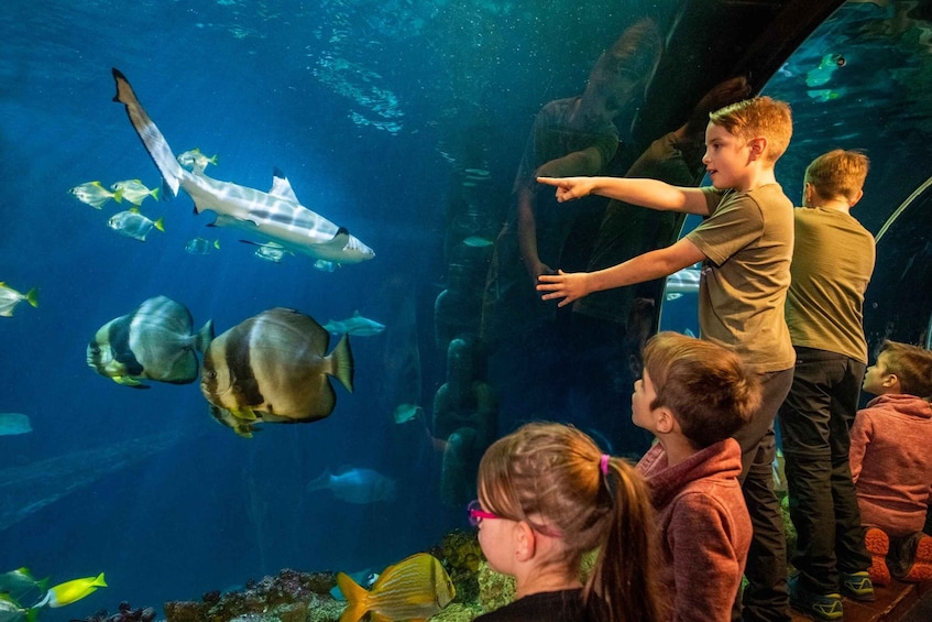 Picture 4 for Activity Munich: Day Ticket to Sea Life